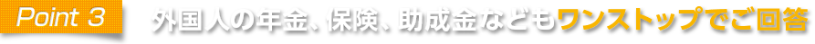 point3 外国人の年金、保険、助成金などもワンストップでご回答